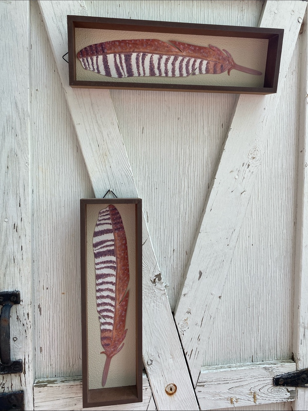 Striped Feather Wall Art Pair - Picture 2 of 4